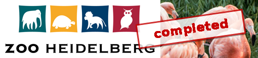 Flamingolauf, Heidelberger Zoo